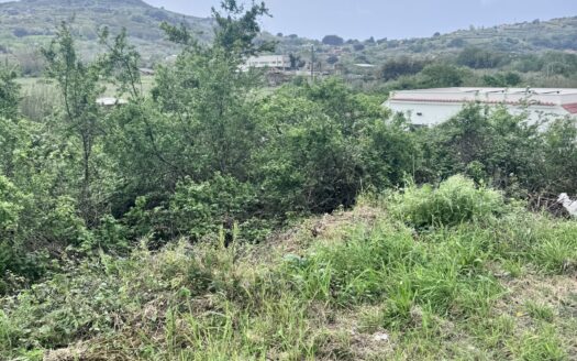 Vendesi Terreno Agricolo