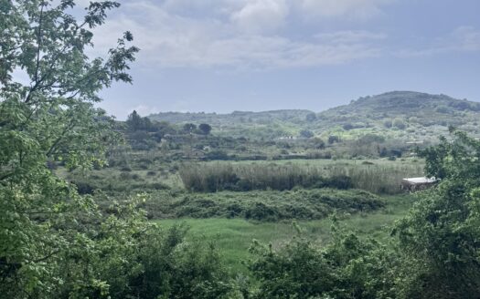 Vendesi Terreno Agricolo