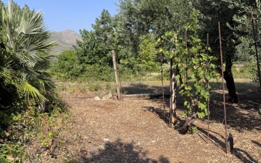 Vendesi Terreno Panoramico