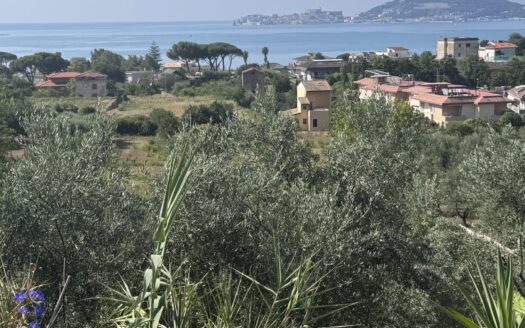 Vendesi Terreno Panoramico